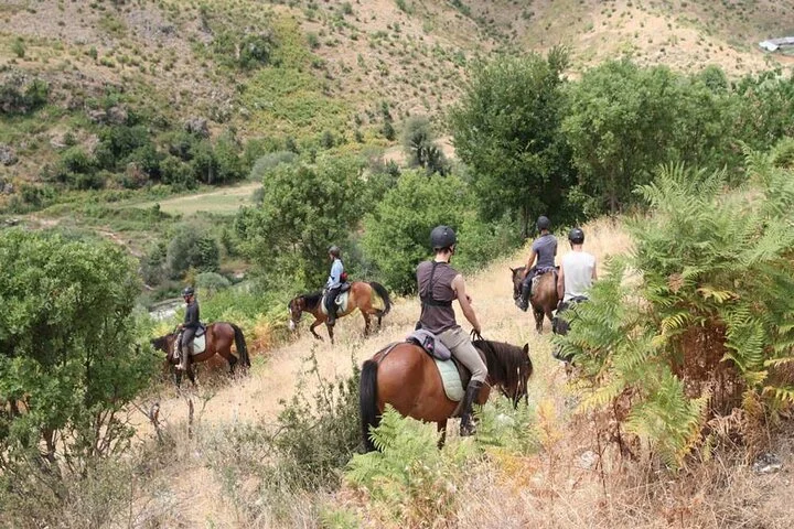 Kemer Horse Safari Experience With Free Hotel Transfer