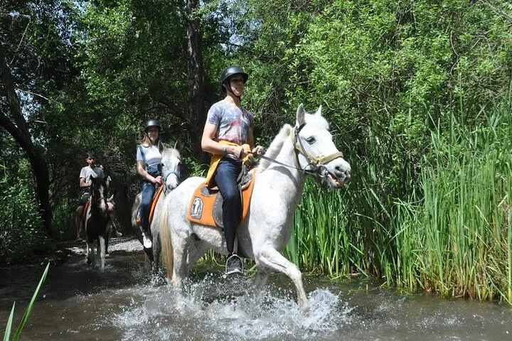 Kemer Horse Safari Experience With Free Hotel Transfer