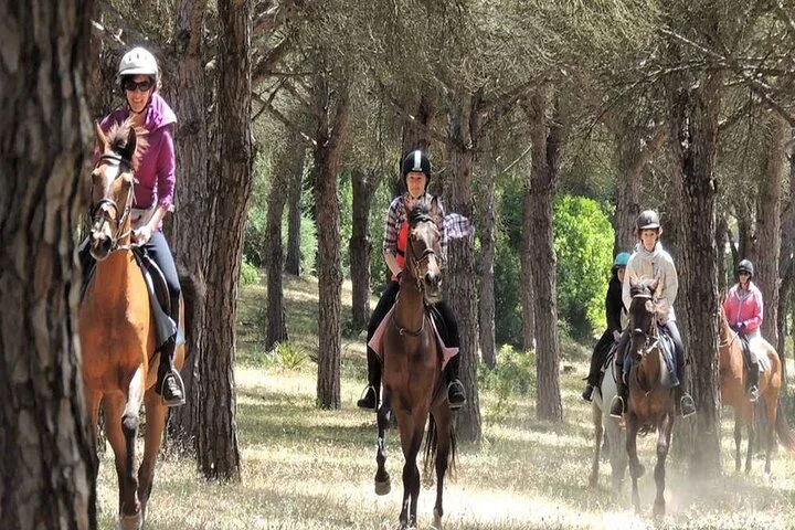 Kemer Horse Safari Experience With Free Hotel Transfer