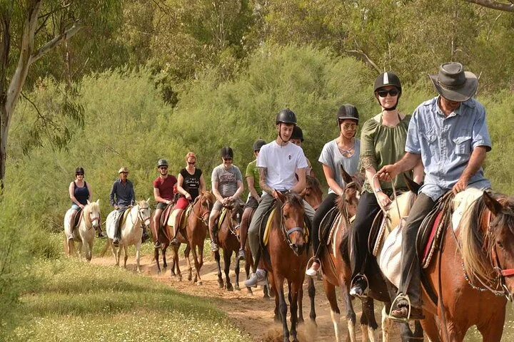 Kemer Horse Safari Experience With Free Hotel Transfer