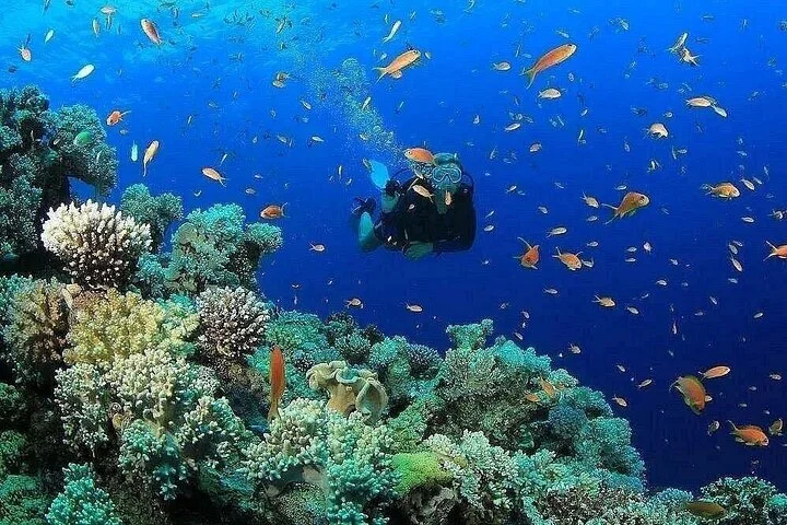 Kemer Scuba Diving and Snorkeling Trip