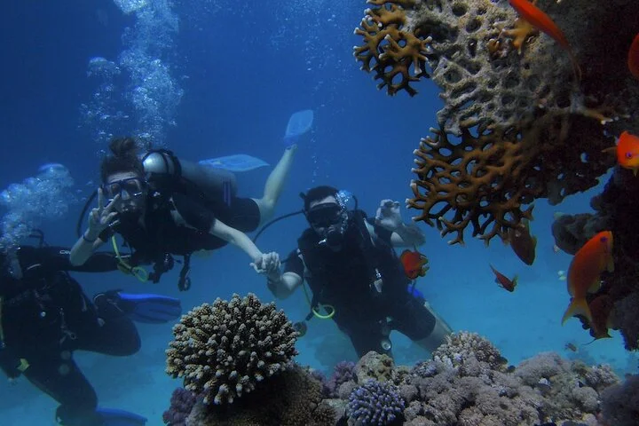 Kemer Scuba Diving Experience: Two Dives with Lunch