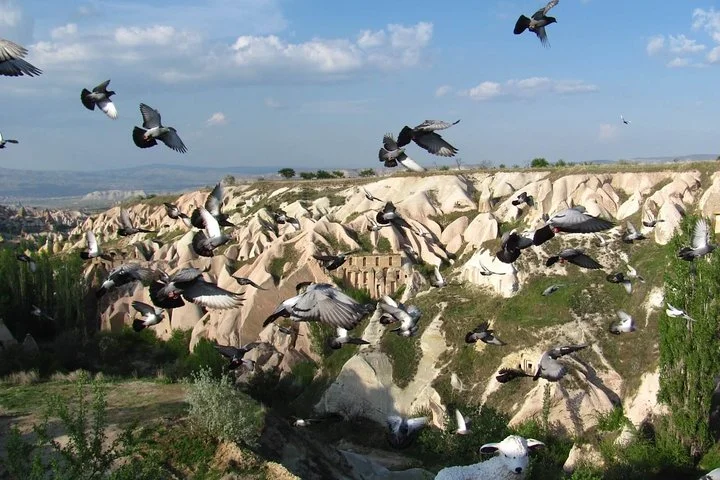 Multi-Day Tour in Mount Nemrut Sanliurfa Harran