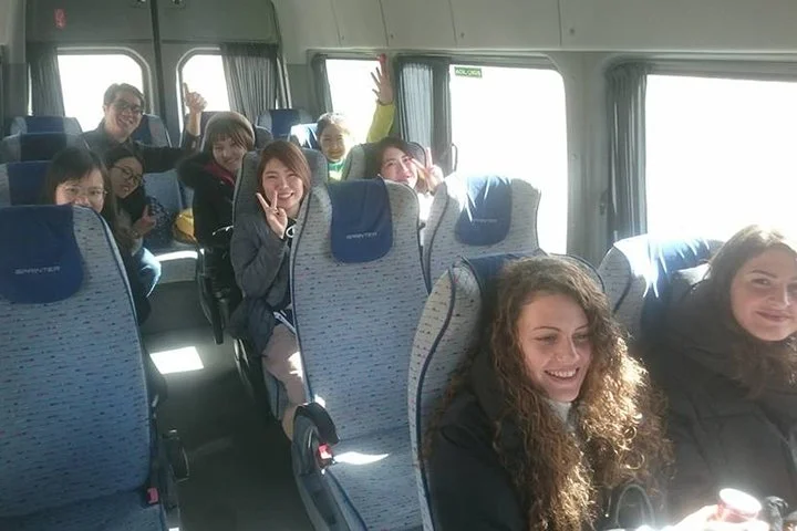 Private 2 days 1 night Istanbul to Cappadocia tour by plane and Hot Air Balloon