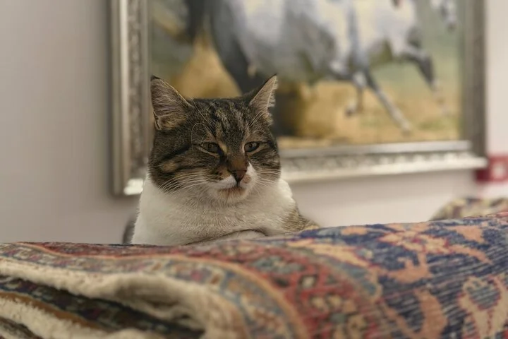 Private Dream of Cappadocia Tour