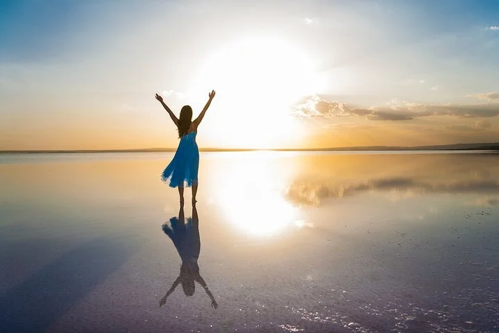 Private Salt Lake Tour