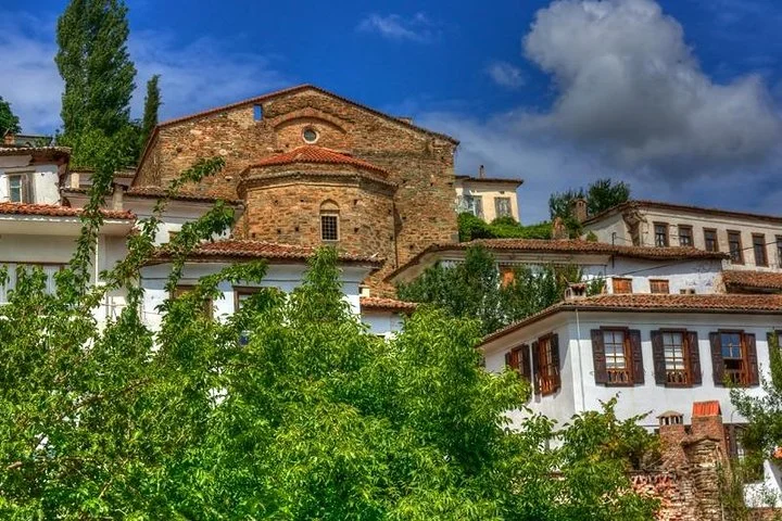 Private Tour to Ephesus, Terrace Houses, Temple of Artemis