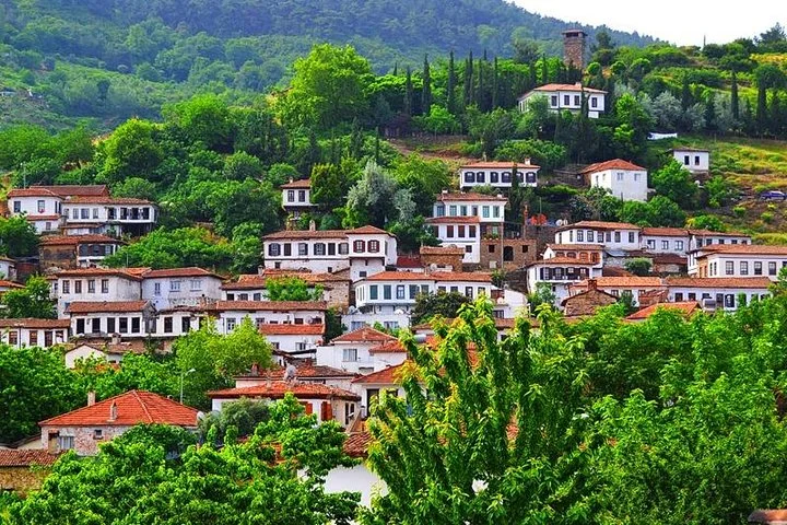 Private Tour to Ephesus, Terrace Houses, Temple of Artemis