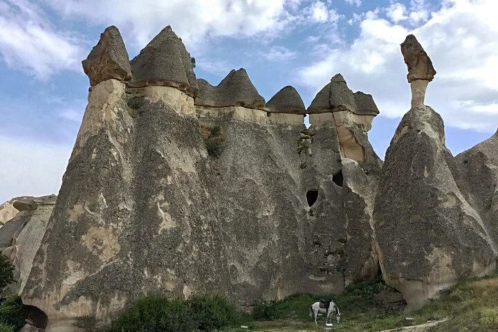 Private Transfer: Cappadocia Region to Nevsehir Airport NAV in Luxury Van
