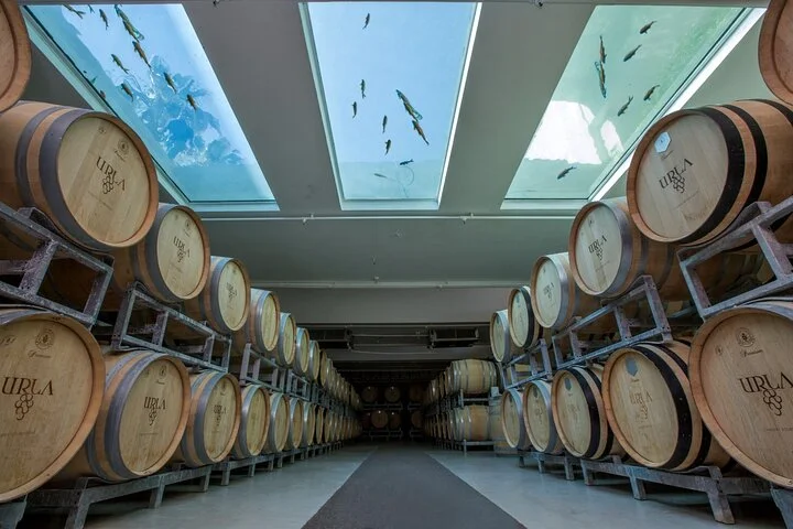 Private Urla Wine and Olive Oil Tour from Izmir