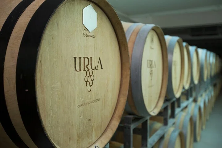 Private Urla Wine and Olive Oil Tour from Izmir