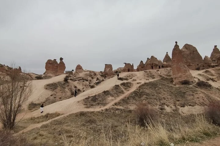 Red and Green Combined Tour +Lunch