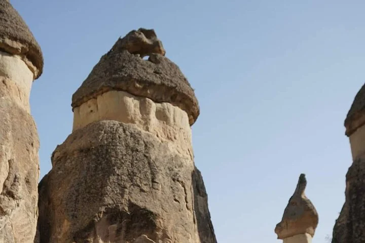 Red and Green Combined Tour +Lunch