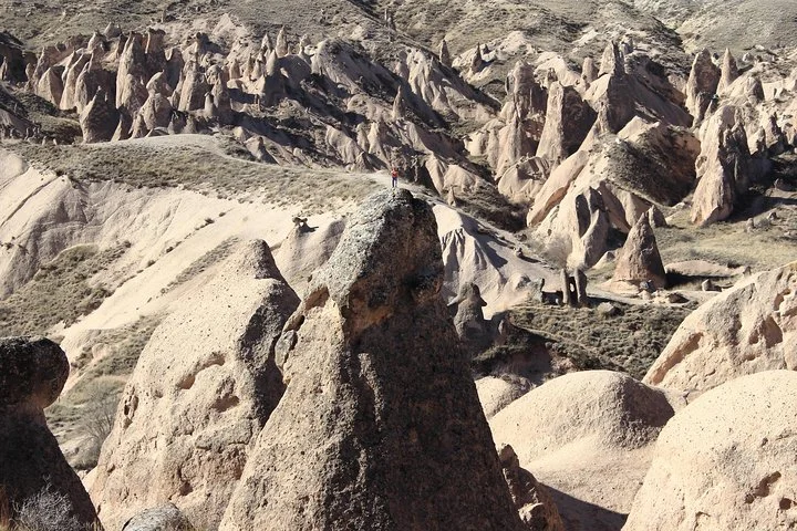 Red Tour ( Afternoon )