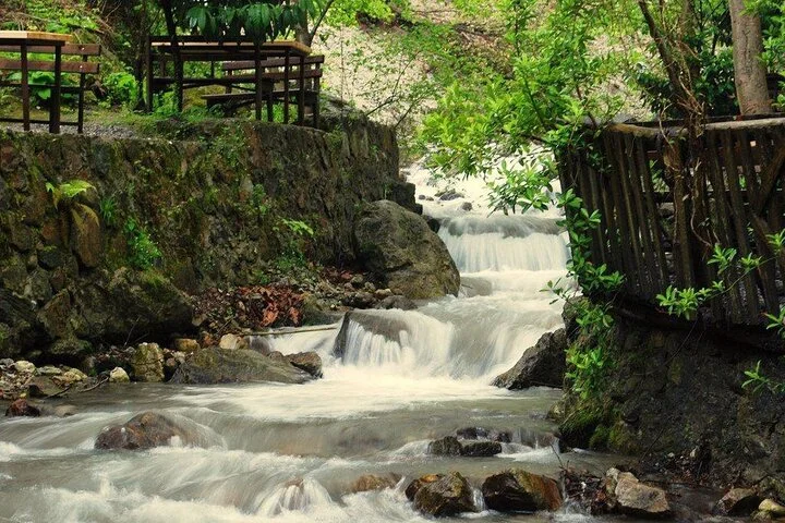 Sapanca and Masukiye Tour from Istanbul with Optional Activities