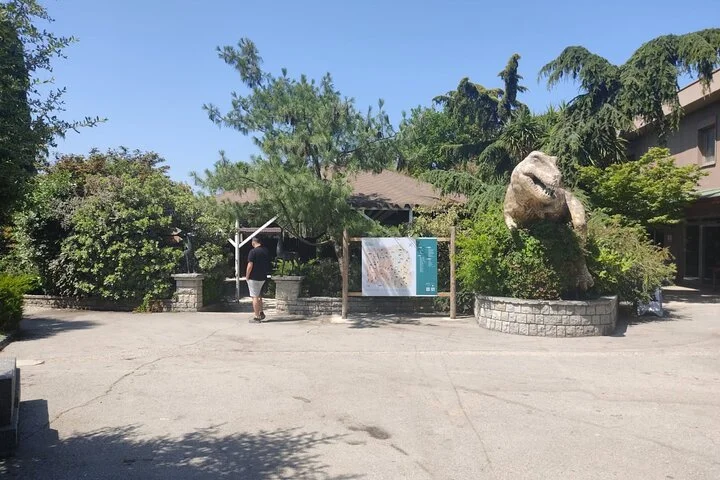 Sapanca Full Day Tour with Lunch