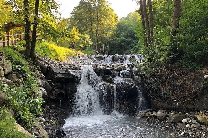 Sapanca Full Day Tour with Lunch