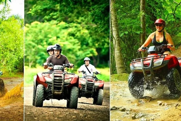 Sapanca Full Day Tour with Lunch