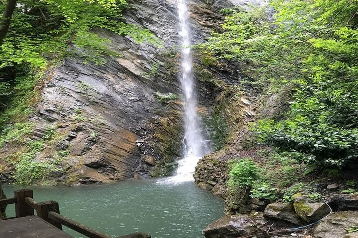 Sapanca Full Day Tour with Lunch