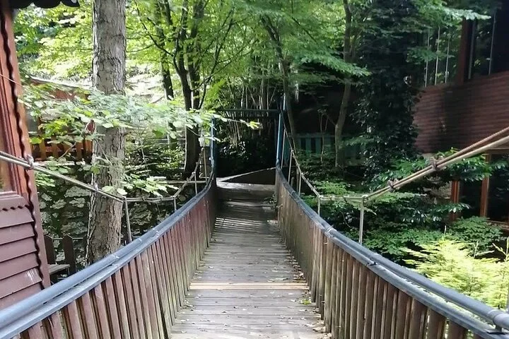 Sapanca Full Day Tour with Lunch