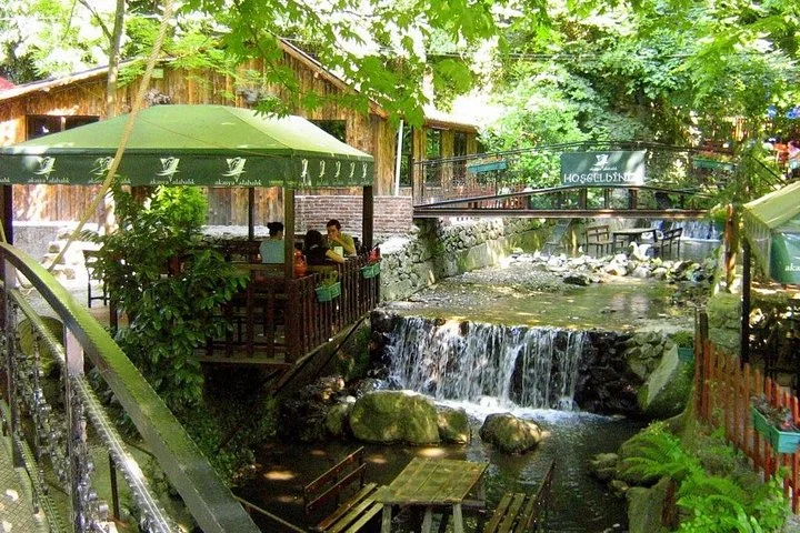 Sapanca Lake and Masukiye Tour