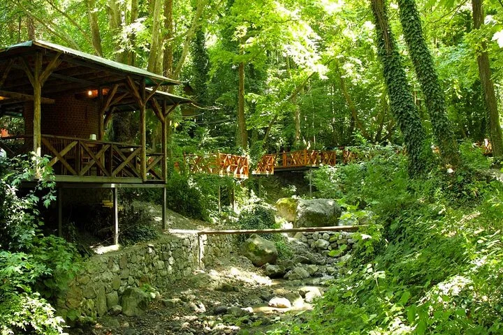 Sapanca Lake & Masukiye Tour From Istanbul