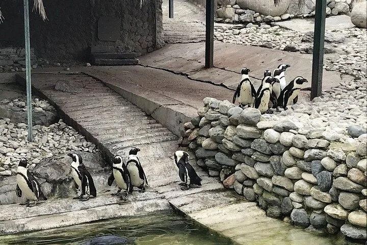 Sapanca & Maşukiye Day Trip from Istanbul with ATV, Cable Car