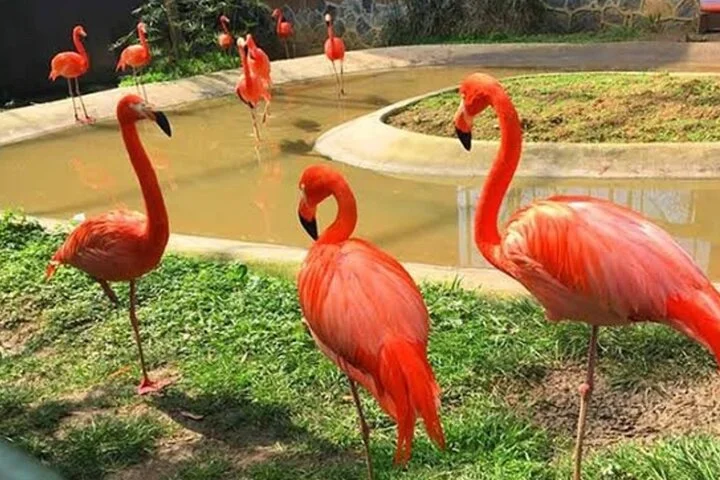 Sapanca & Maşukiye Day Trip from Istanbul with ATV, Cable Car