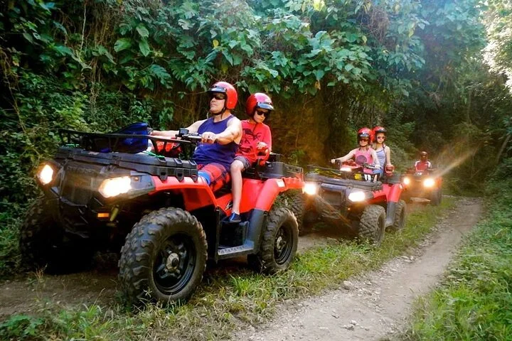 Sapanca Maşukiye Safari and Natural Wonders