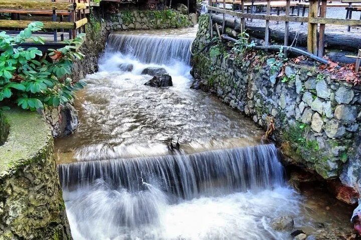 Sapanca Maşukiye Safari and Natural Wonders