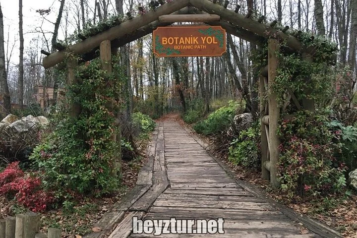 Sapanca Masukiye Tour