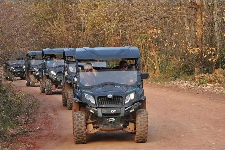 Sapanca Masukiye Zoo private Tour From istanbul VIP Minivan Best Quality