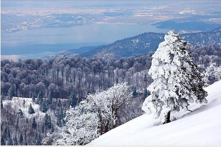 Sapanca Masukiye Zoo private Tour From istanbul VIP Minivan Best Quality