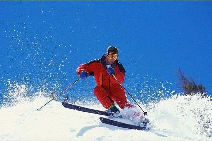 Sapanca Masukiye Zoo private Tour From istanbul VIP Minivan Best Quality