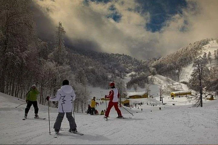 Sapanca Masukiye Zoo private Tour From istanbul VIP Minivan Best Quality