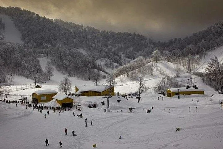 Sapanca Masukiye Zoo private Tour From istanbul VIP Minivan Best Quality