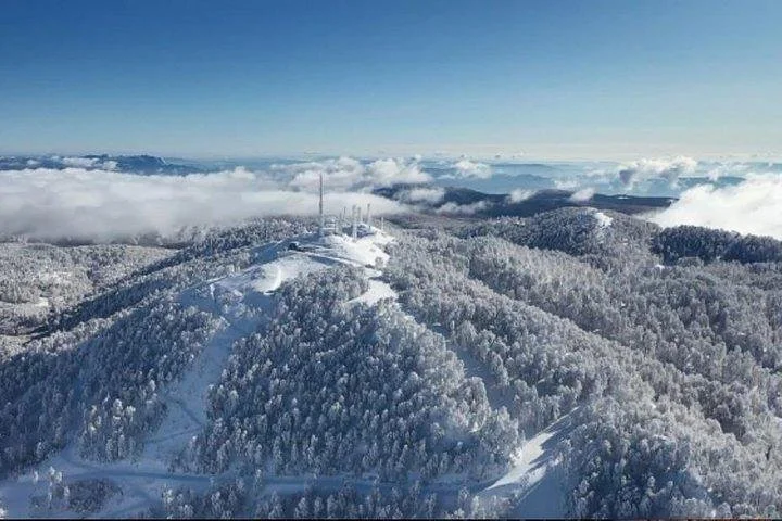 Sapanca Masukiye Zoo private Tour From istanbul VIP Minivan Best Quality