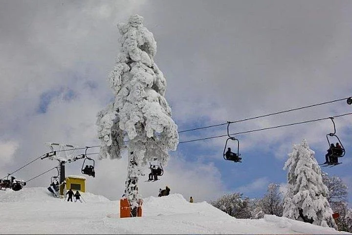 Sapanca Masukiye Zoo private Tour From istanbul VIP Minivan Best Quality