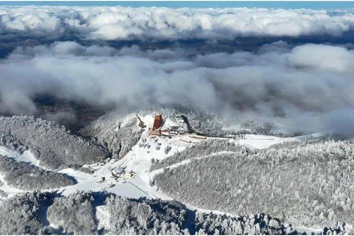 Sapanca Masukiye Zoo private Tour From istanbul VIP Minivan Best Quality