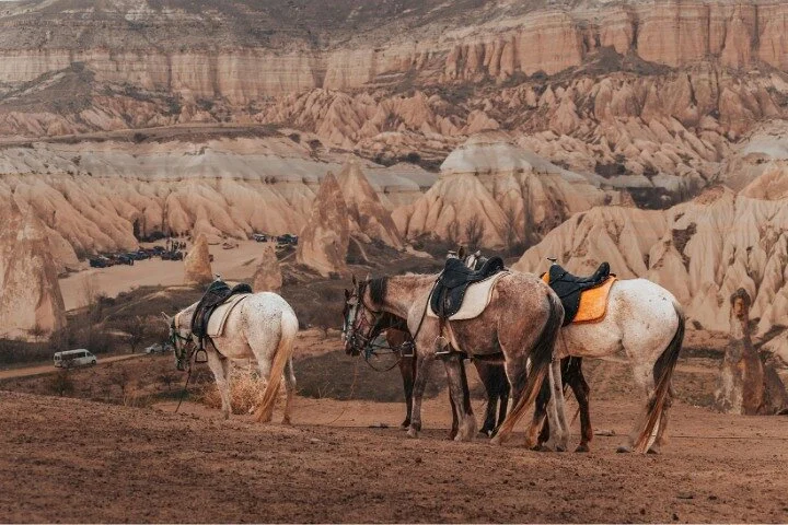 Signature Horseback: The Valley Journey (Sunset & Day Options)