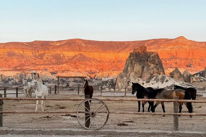 Signature Horseback: The Valley Journey (Sunset & Day Options)
