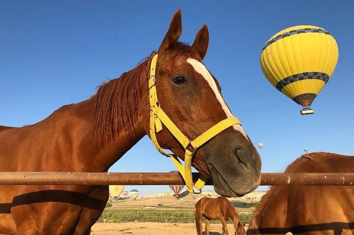 Sunrise Horsebackriding Tour in Cappadocia