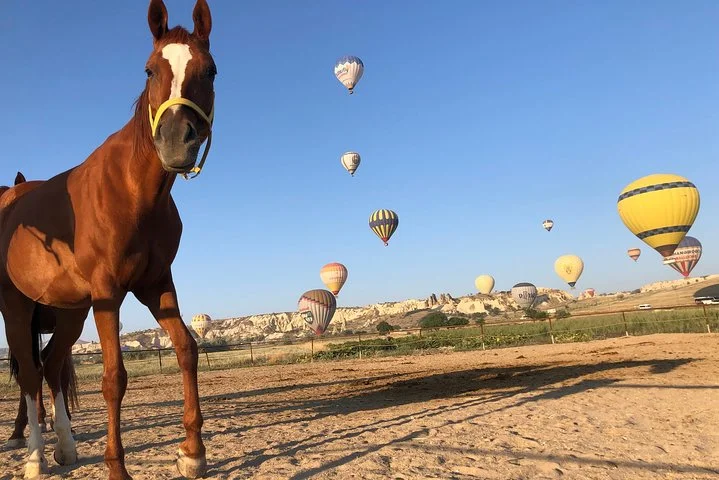 Sunrise Horsebackriding Tour in Cappadocia