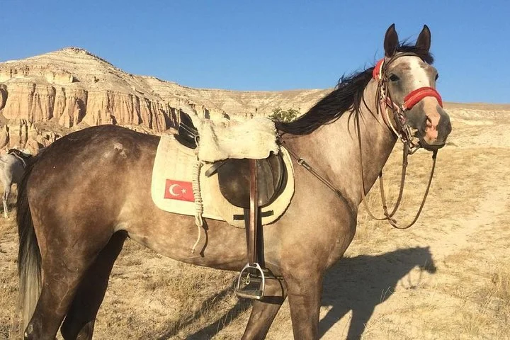 Sunrise Horsebackriding Tour in Cappadocia