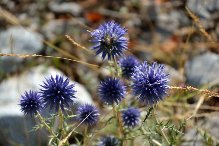 Taurus Mountains Trekking Tour (3723m)