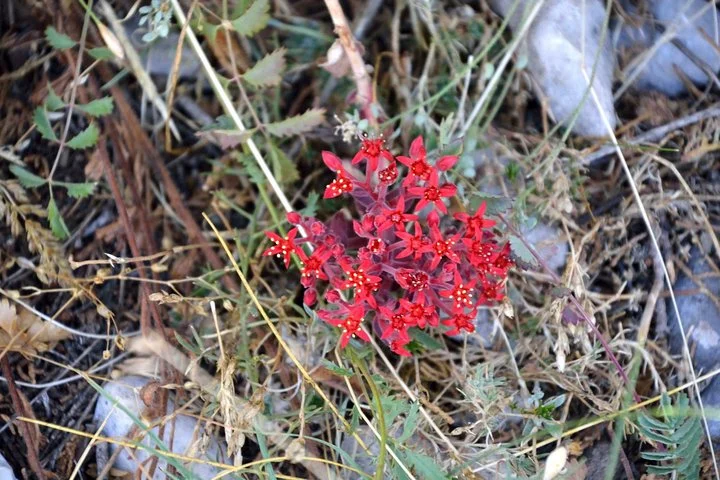 Taurus Mountains Trekking Tour (3723m)