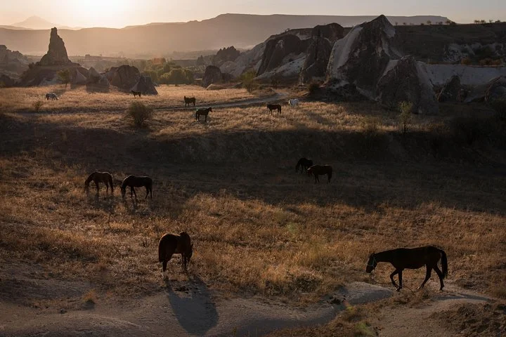 The Best Sunset Horseback Riding Tours in Cappadocia