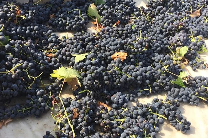 Wine tasting in Cappadocia