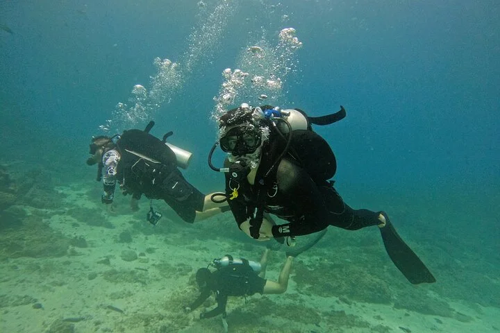2 Dives for Certified Divers in Fujairah with transfer