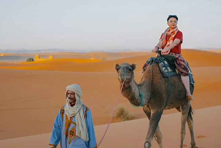 4 Hour Morning/Evening Desert Safari - Camel Ride & Sand Boarding